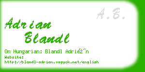 adrian blandl business card